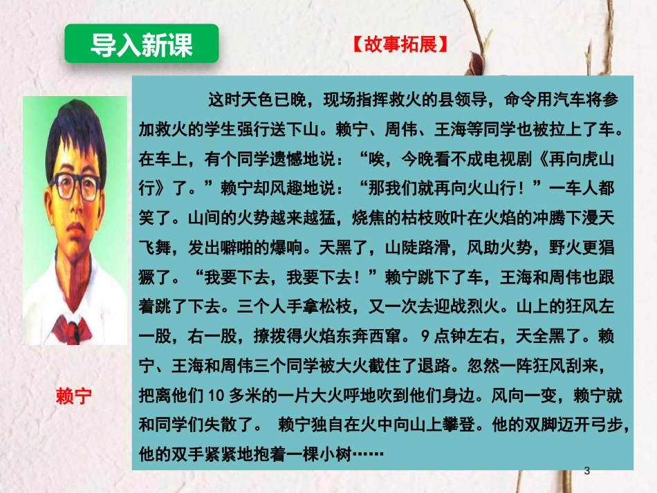 辽宁省灯塔市八年级道德与法治上册 第四单元 维护国家利益 第八课 国家利益至上 第1框 国家好 大家才会好课件 新人教版_第3页