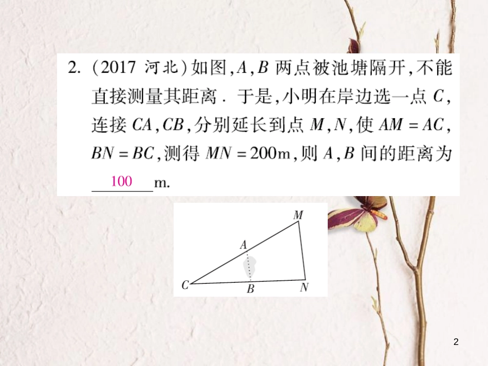 云南省中考数学总复习 第四章 三角形 4.2 三角形 直角三角形课件_第2页