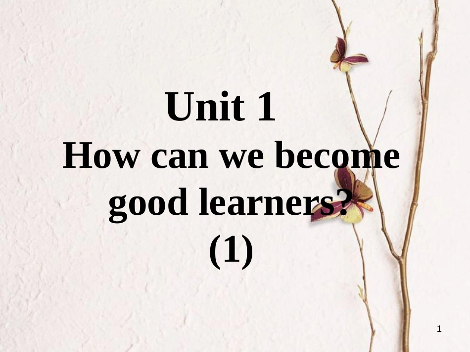 九年级英语全册 口译精练 Unit 1 How can we become good learners(1)课件 （新版）人教新目标版_第1页