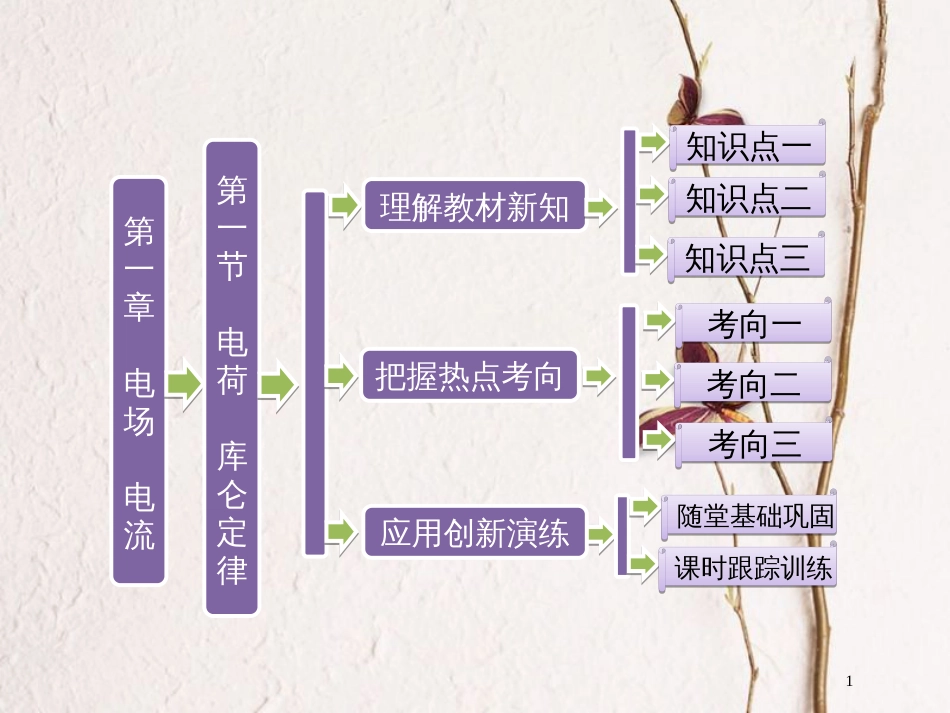 高中物理 第一章 电场电流 第一节 电荷 库仑定律课件 新人教版选修1-1_第1页