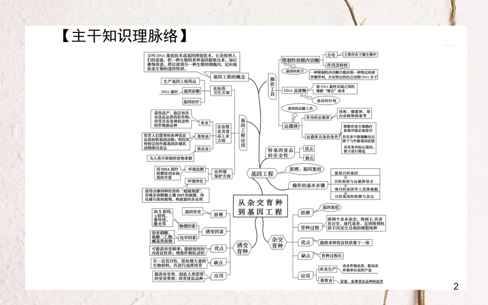 高中生物 第6章 从杂交育种到基因工程单元排查强化课件 新人教版必修2_第2页