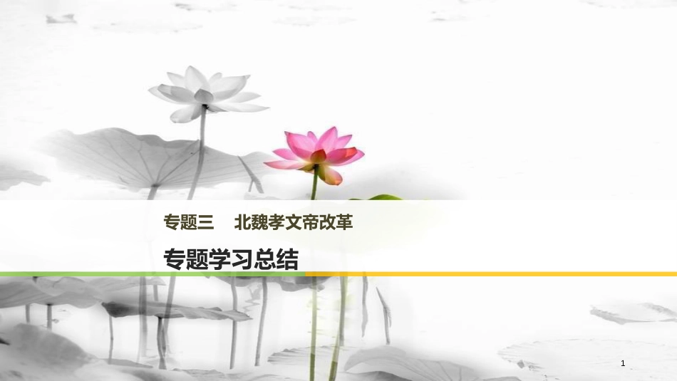 高中历史 专题三 北魏孝文帝改革专题学习总结课件 人民版选修1_第1页
