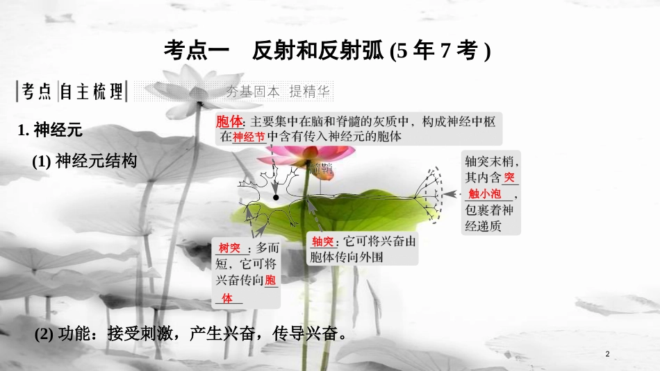 届高考生物一轮复习 第八单元 生命活动的调节 第24讲 神经调节课件_第2页