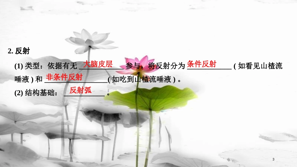 届高考生物一轮复习 第八单元 生命活动的调节 第24讲 神经调节课件_第3页