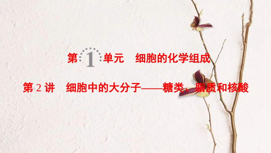 2019版高考生物一轮复习 第1单元 细胞的化学组成 第2讲 细胞中的大分子——糖类、脂质和核酸课件 苏教版_第1页