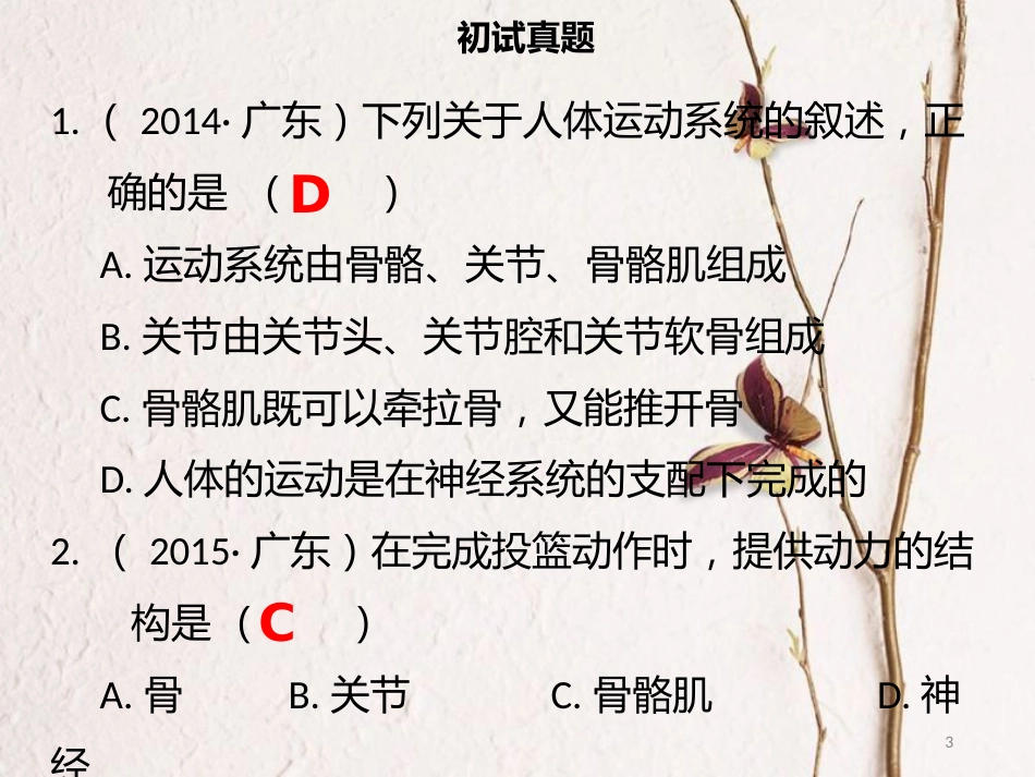 广东省中考生物 模块六 动物的运动和行为 第一课时 动物的运动课件_第3页