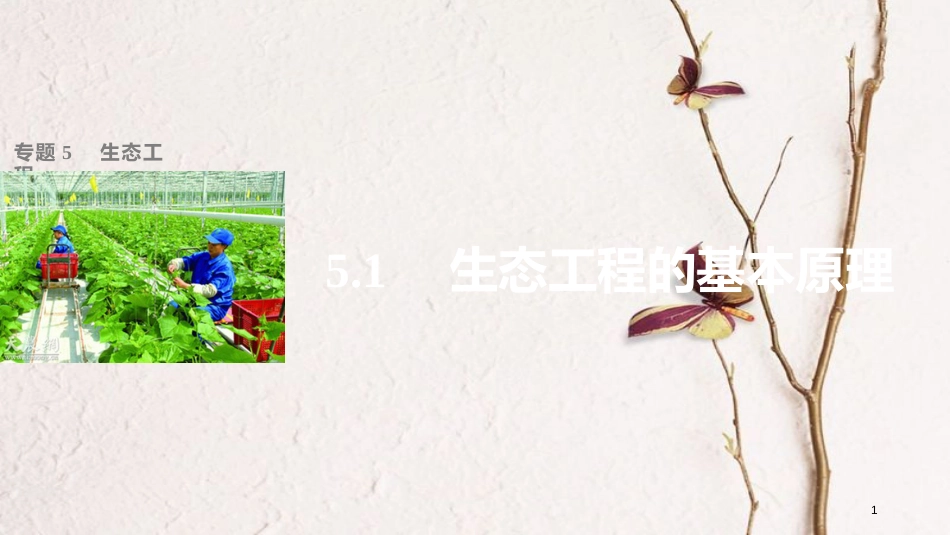 高中生物 专题5 生态工程 5.1 生态工程的基本原理课件 新人教版选修3_第1页