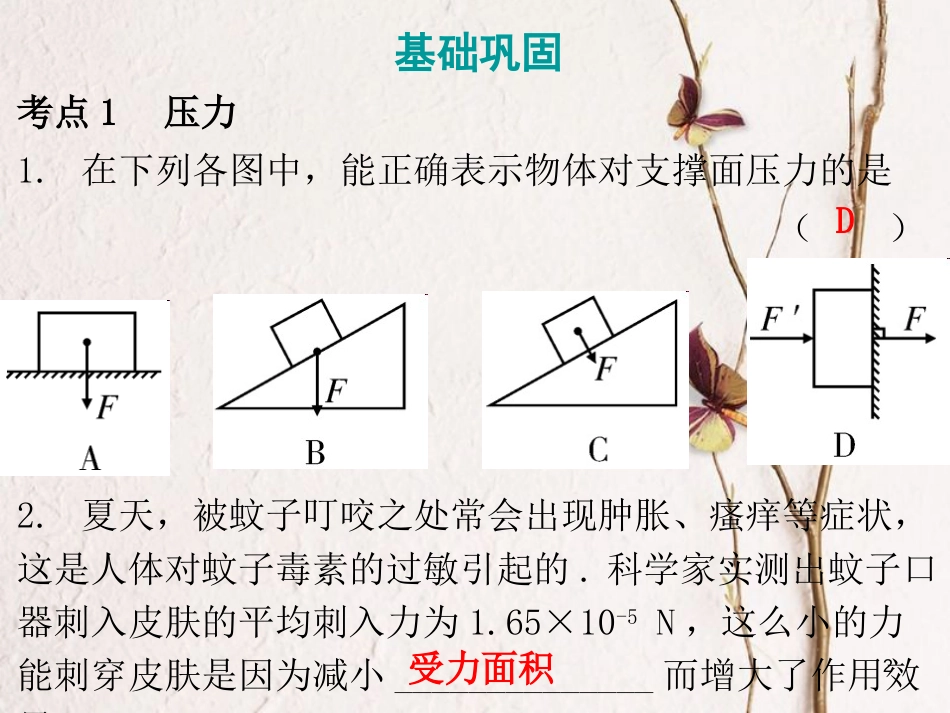 广东省中考物理总复习 第一部分 基础复习 第11课时 压强液体的压强课后作业课件_第2页