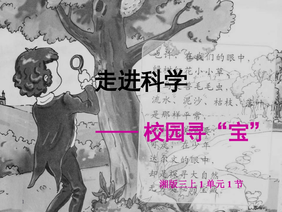 三年级科学上册 1.1 校园寻宝课件3 湘教版_第1页