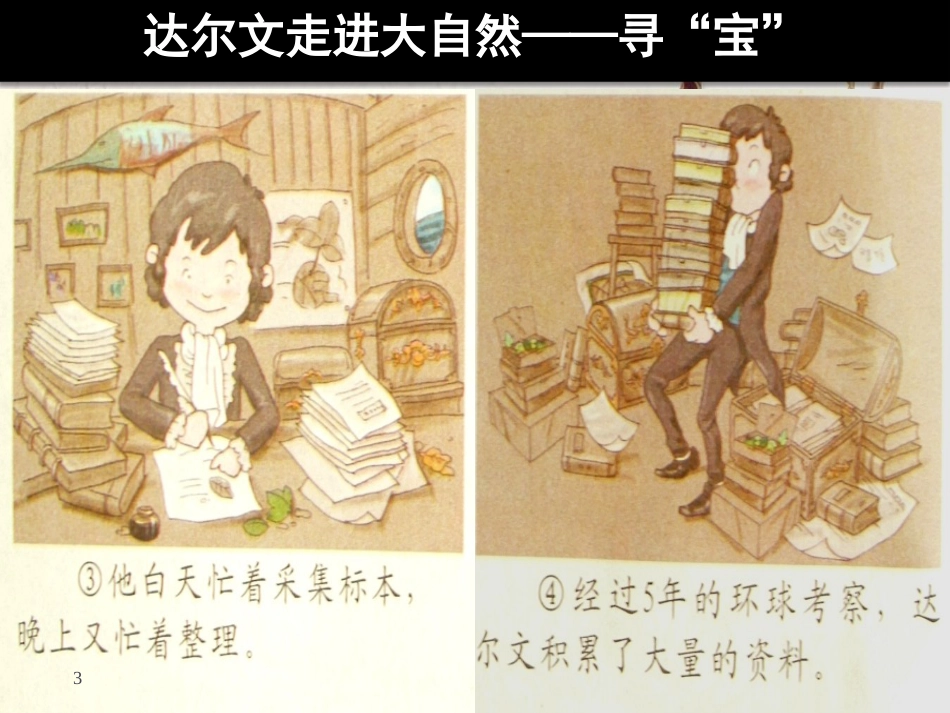 三年级科学上册 1.1 校园寻宝课件3 湘教版_第3页