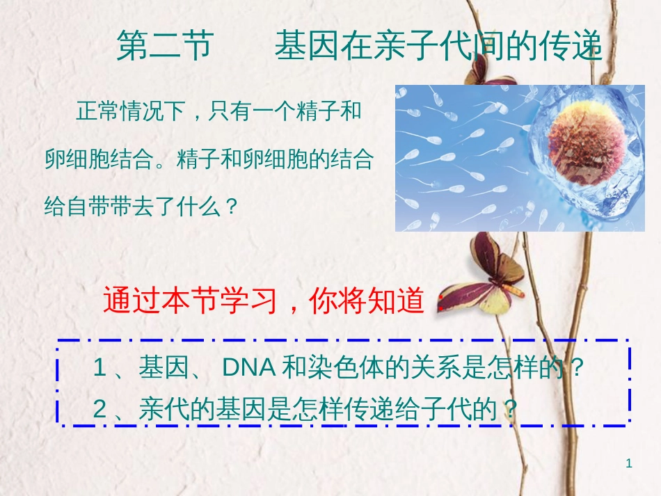 八年级生物下册 7.2.2基因在亲子代间的传递课件1 （新版）新人教版_第1页