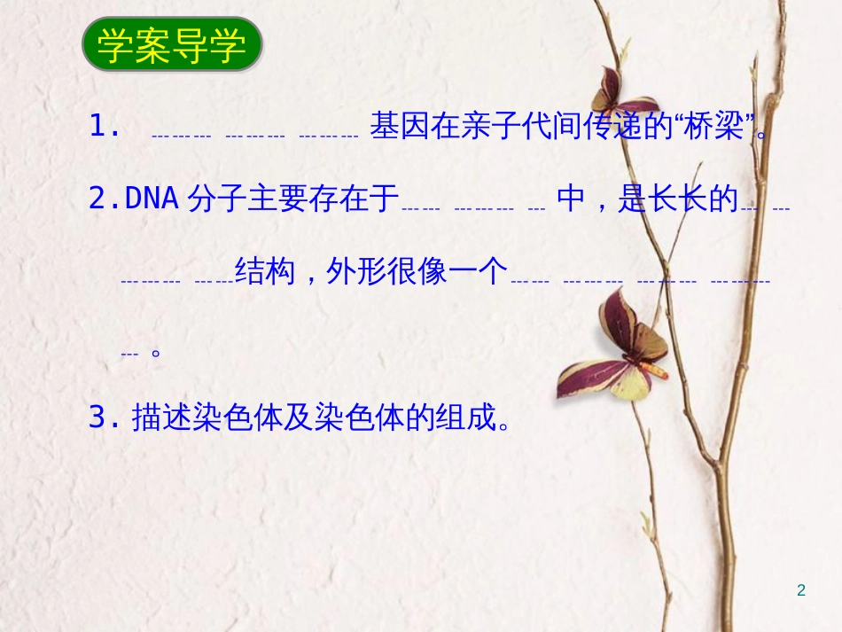 八年级生物下册 7.2.2基因在亲子代间的传递课件1 （新版）新人教版_第2页