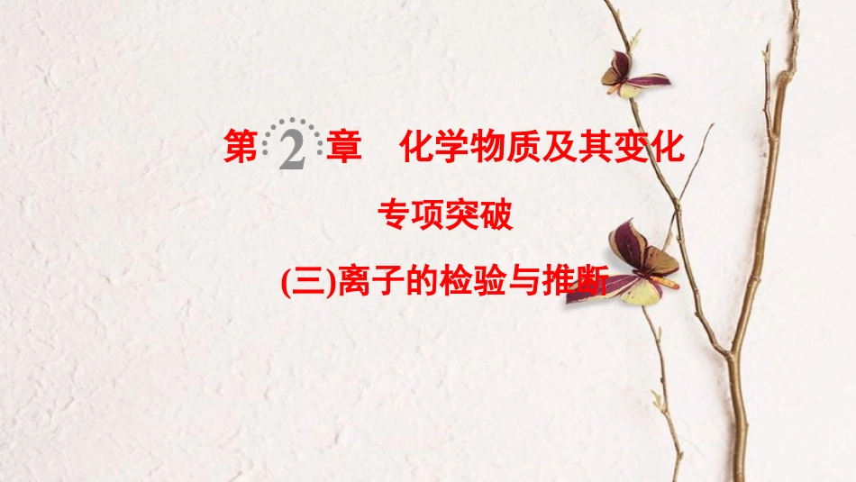 （全国通用）2019版高考化学一轮复习 第2章 化学物质及其变化 专项突破3 离子的检验与推断课件_第1页
