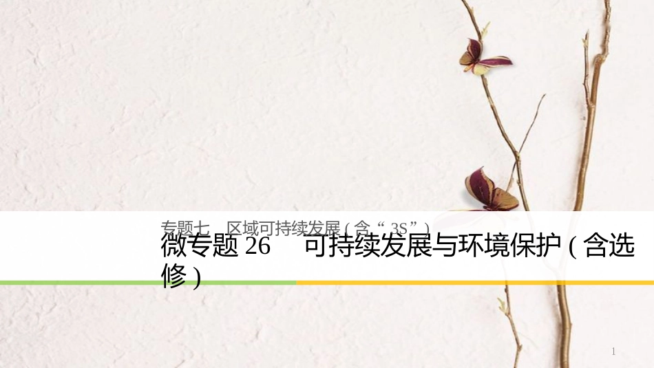 浙江省高考地理二轮复习7区域可持续发展（含“3S”）微专题26可持续发展与环境保护含选修课件_第1页
