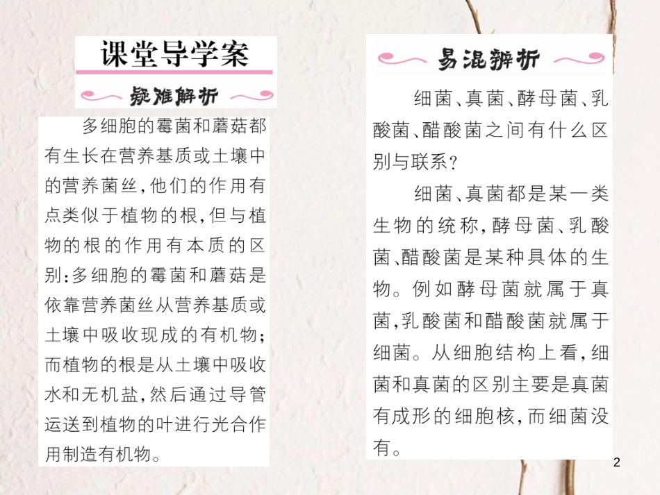 八年级生物上册 第五单元 第4章 第三节 真菌课件 (新版)新人教版_第2页