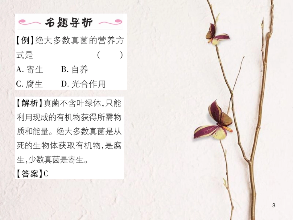 八年级生物上册 第五单元 第4章 第三节 真菌课件 (新版)新人教版_第3页