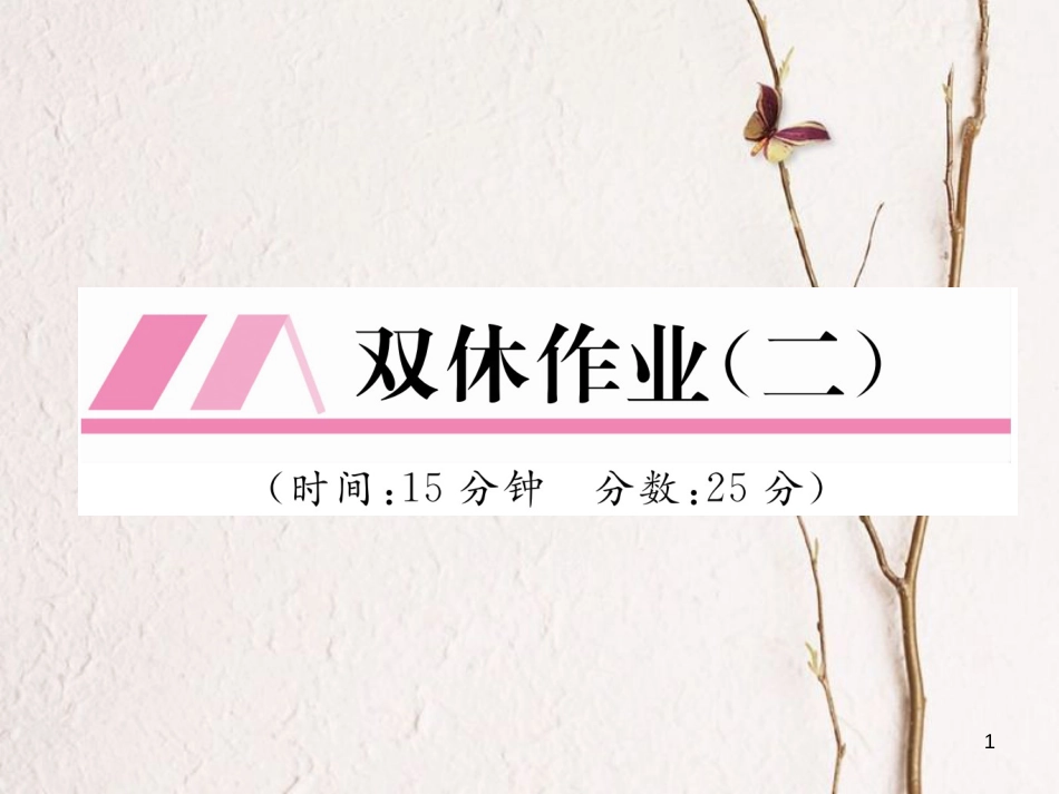 九年级化学下册 双休作业（二）作业课件 （新版）新人教版_第1页