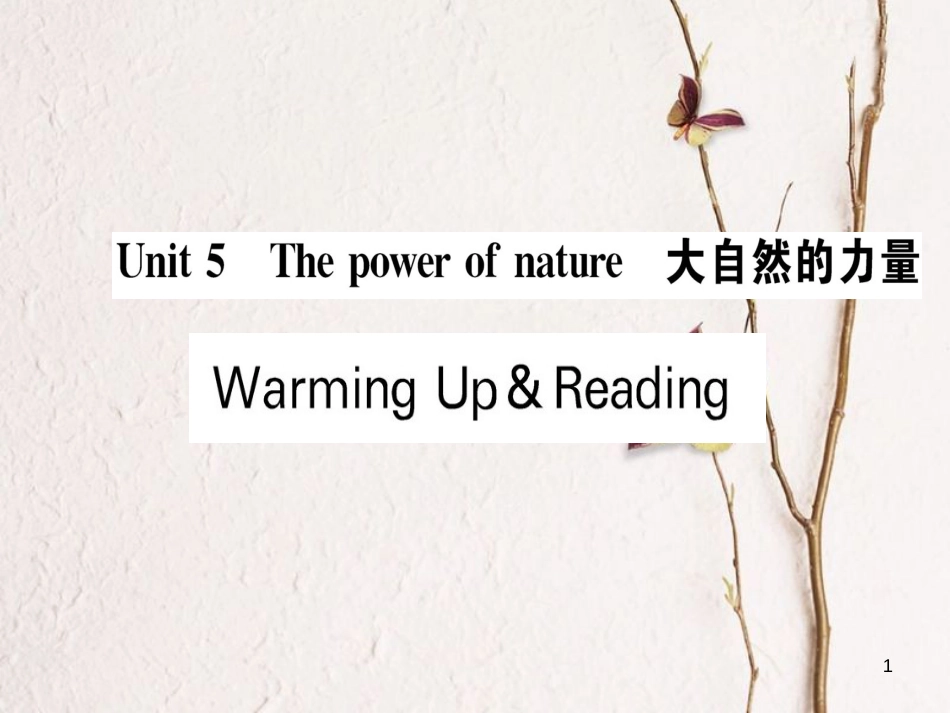 高中英语 Unit 5 The power of nature Warming Up Reading课件 新人教版选修6_第1页