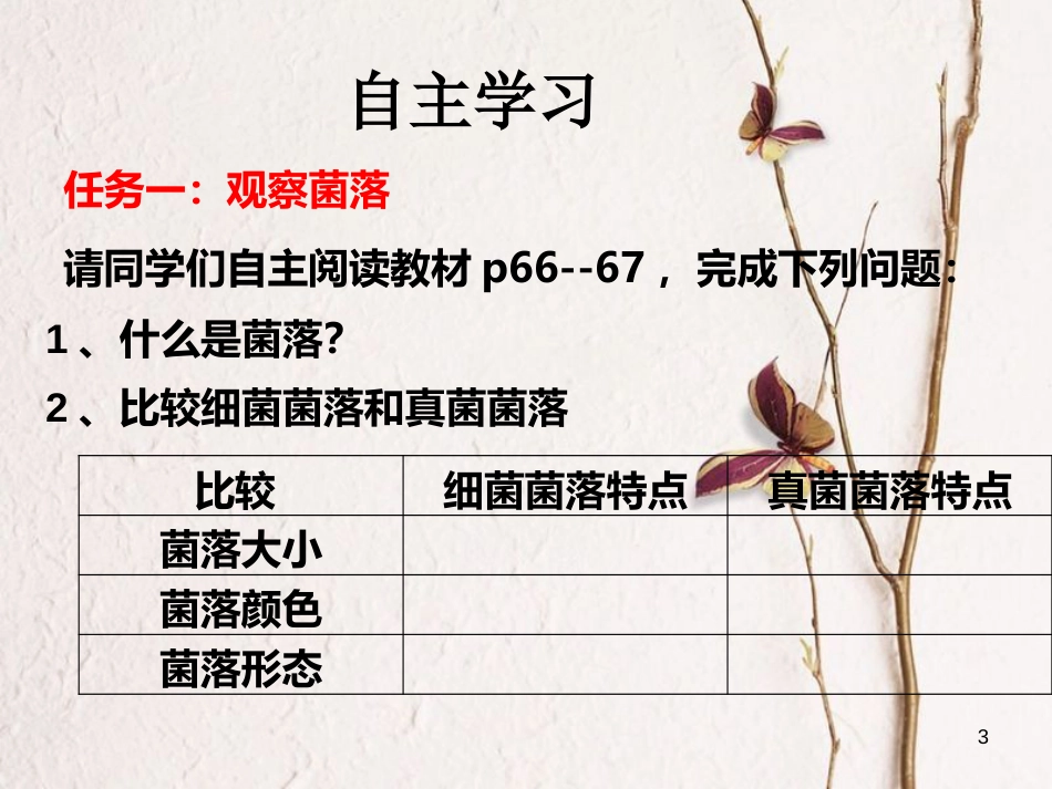 八年级生物上册 5.4.1 细菌和真菌的分布课件 （新版）新人教版_第3页