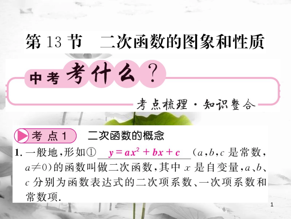 春中考数学总复习 第一轮 同步演练 夯实基础 第一部分 数与代数 第3章 函数及其图象 第13节 二次函数的图象与性质课件 新人教版_第1页