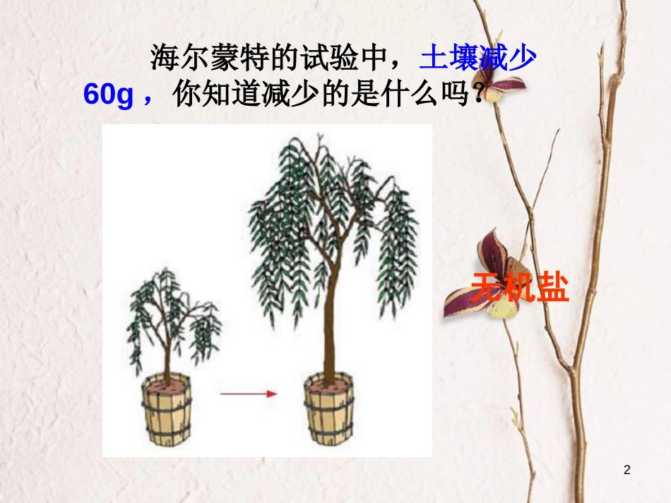 学年七年级生物上册 3.4.2 绿色植物的生长需要水和无机盐课件1 （新版）苏科版_第2页