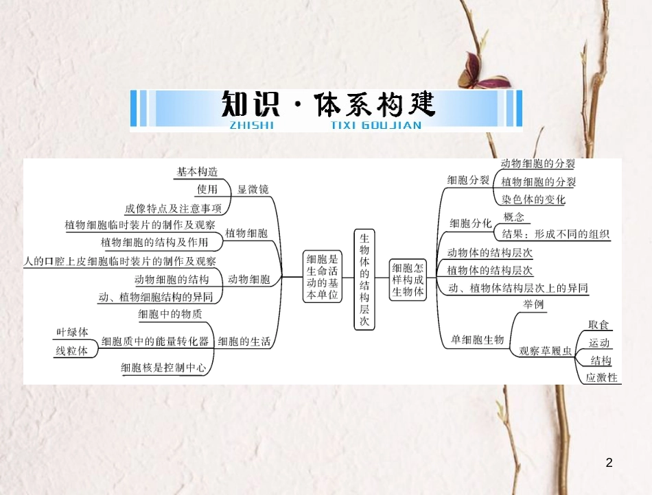 中考生物 考点梳理 第一轮 第一章 第一讲 显微镜和细胞课件_第2页