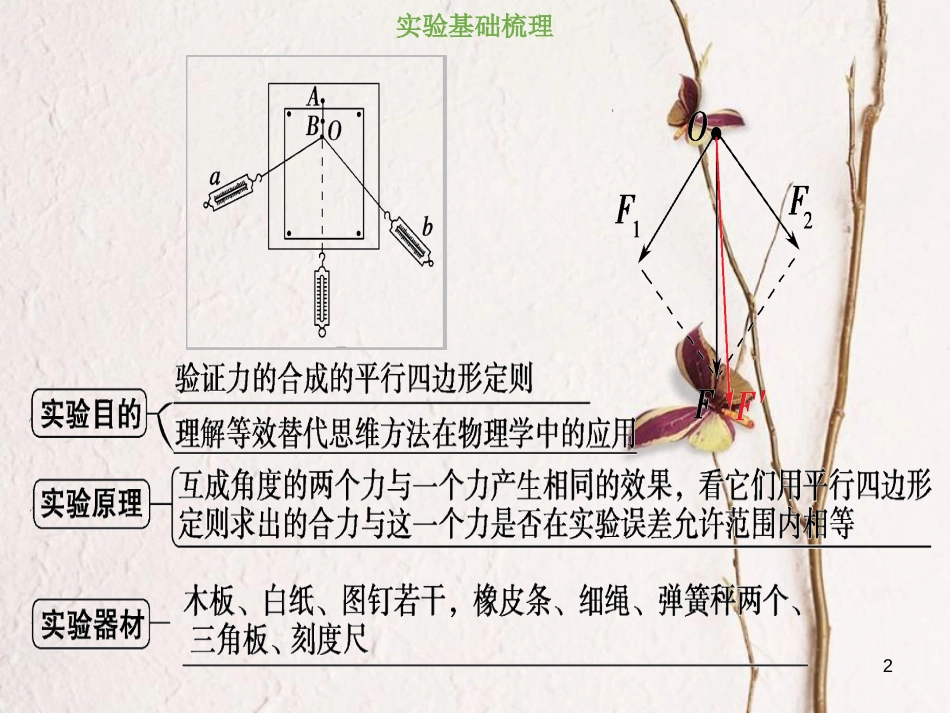 2019版高考物理总复习 第二章 相互作用 2-4-2 实验三 验证力的平行四边形定则课件(1)_第2页