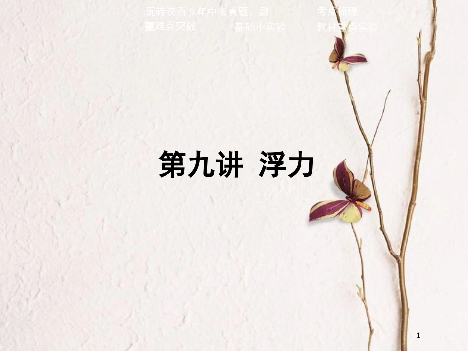 中考物理二轮复习 第九讲 浮力课件_第1页