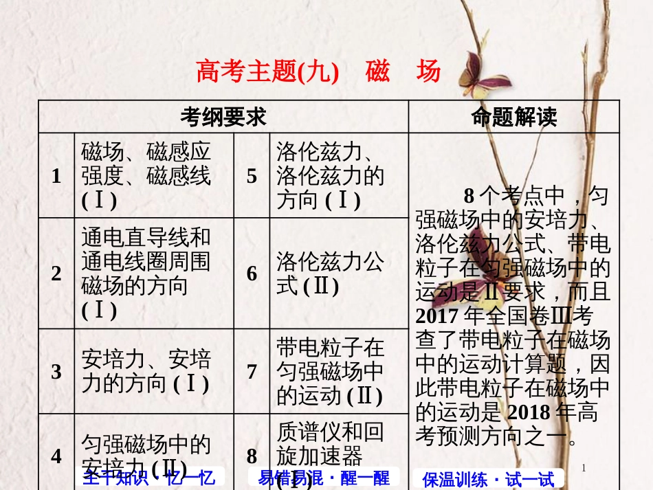 高考物理第三轮复习 主干知识主题（九）磁场课件_第1页