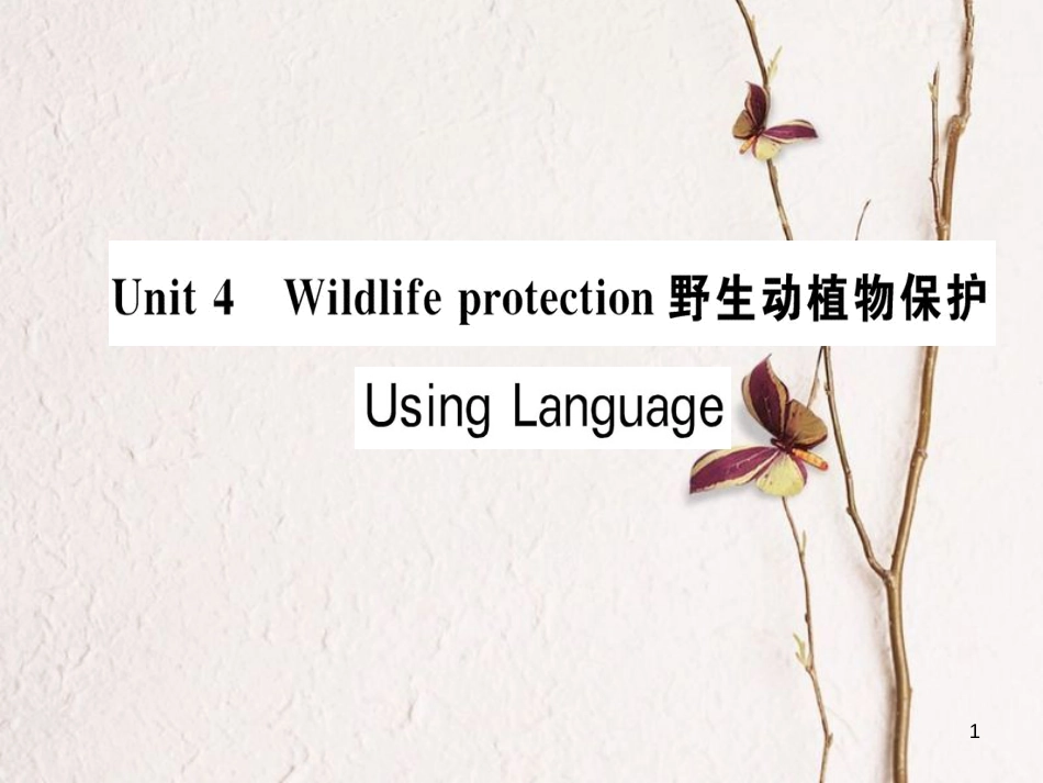 高中英语 Unit 4 Wildlife protection Using Language课件 新人教版必修2_第1页