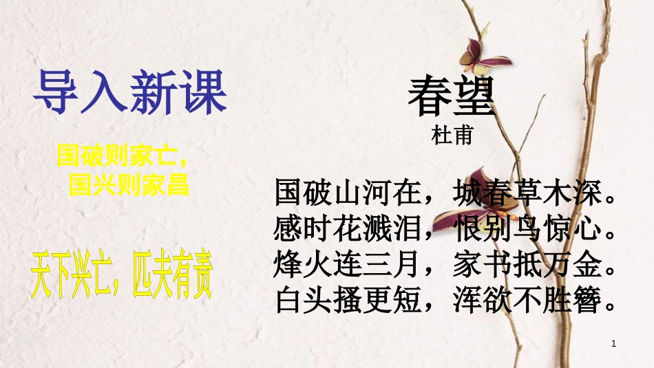 九年级政治全册 第一单元 历史启示录 第三课《天下兴亡，匹夫有责》课件 教科版_第1页