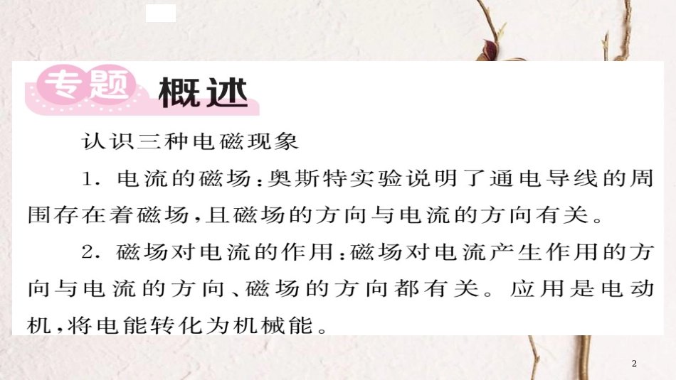 九年级物理全册 专题四 电磁实验探究课件 （新版）新人教版_第2页