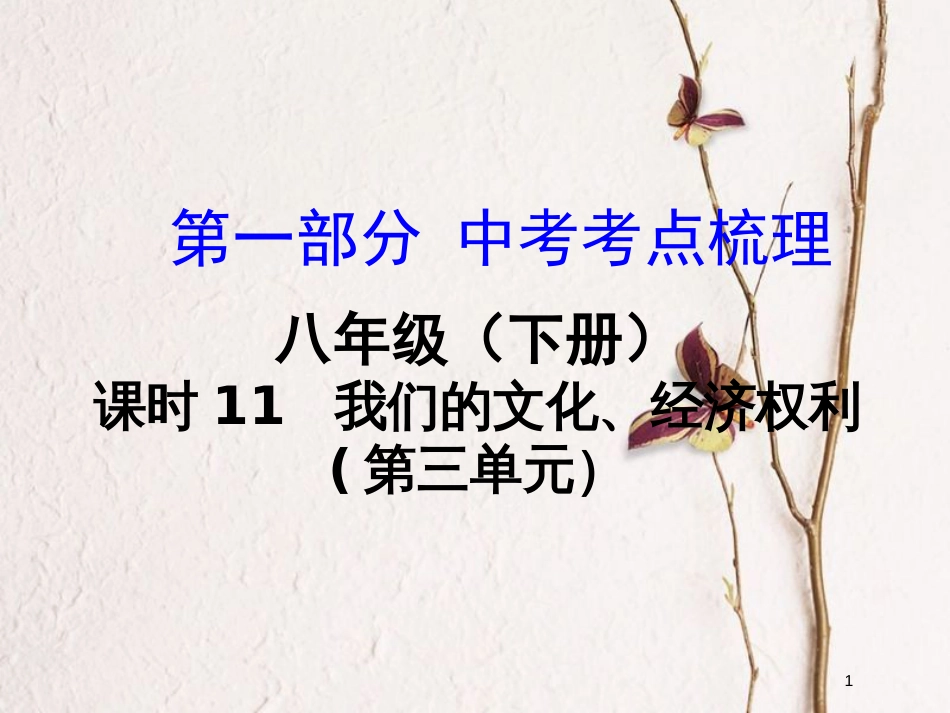 湖南省中考政治总复习 课时11 我们的文化、经济权利课件_第1页