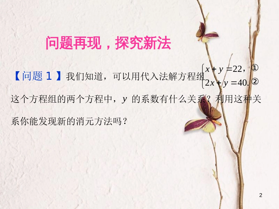 山东省诸城市桃林镇七年级数学下册 第8章 二元一次方程组 8.2 消元─解二元一次方程组（3）课件 （新版）新人教版_第2页