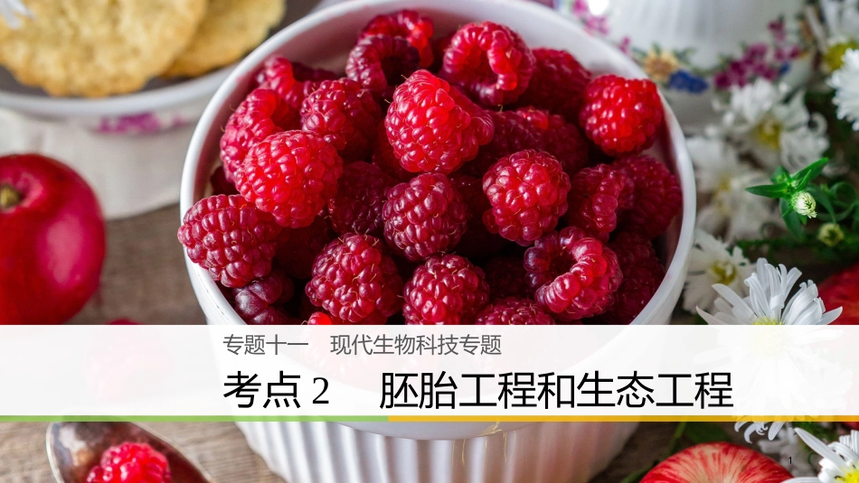 （浙江选考）高三生物二轮专题复习 专题十一 现代生物科技专题 考点2 胚胎工程和生态工程课件 新人教版_第1页