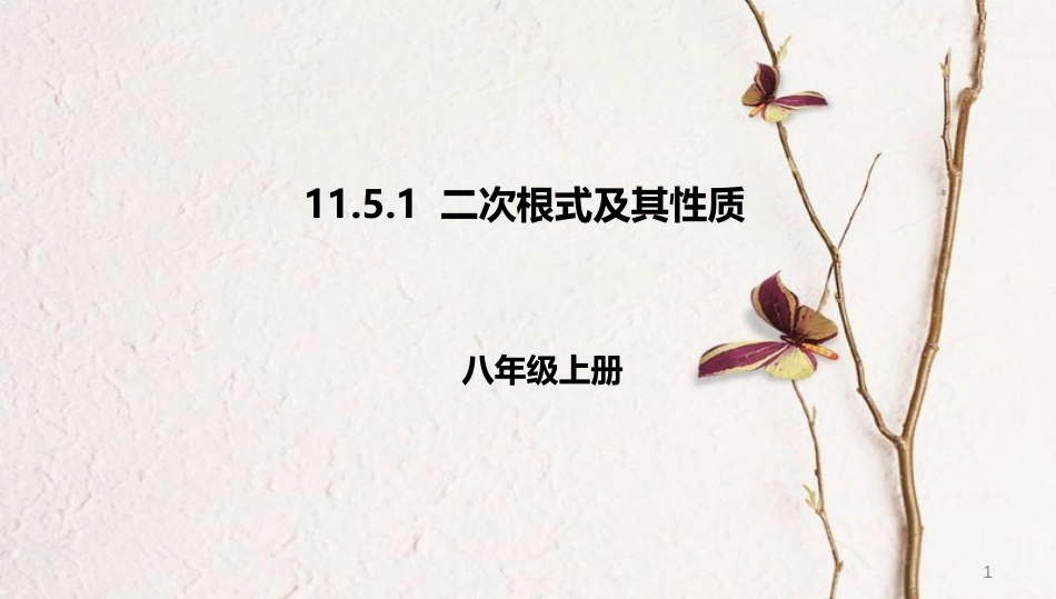 八年级数学上册 第十一章 实数和二次根式 11.5 二次根式及其性质 11.5.1 二次根式及其性质课件 北京课改版_第1页