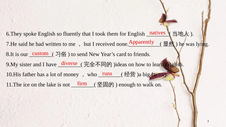 2019版高考英语一轮复习 第一部分 Module 5 Ethnic Culture课件 外研版选修7(1)_第3页