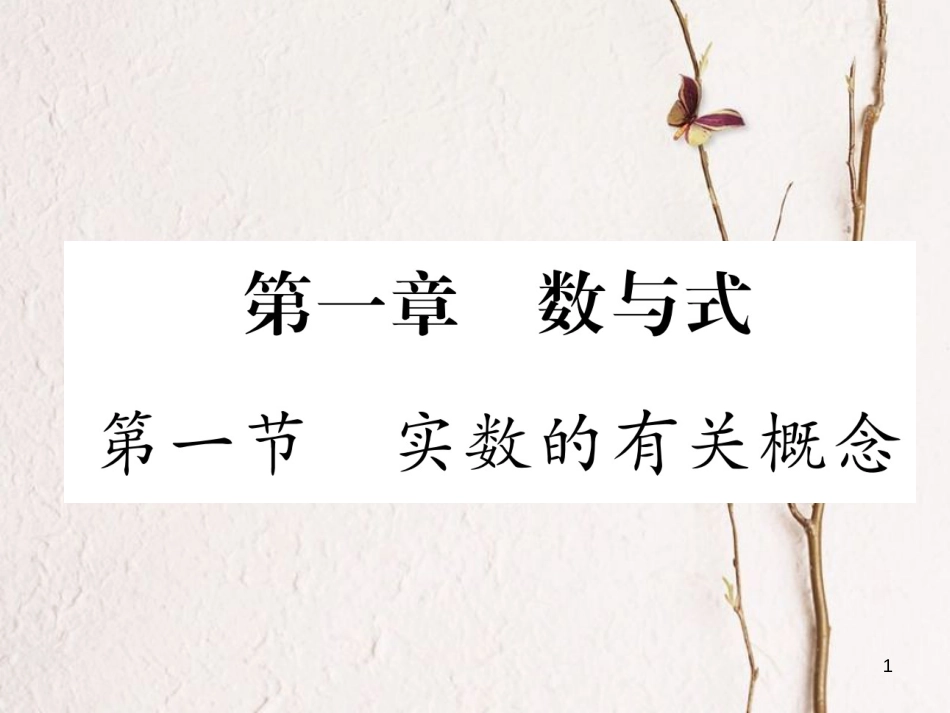 （青海专版）中考数学复习 第1编 教材知识梳理篇 第1章 数与式 第1节 实数的有关概念（精讲）课件_第1页