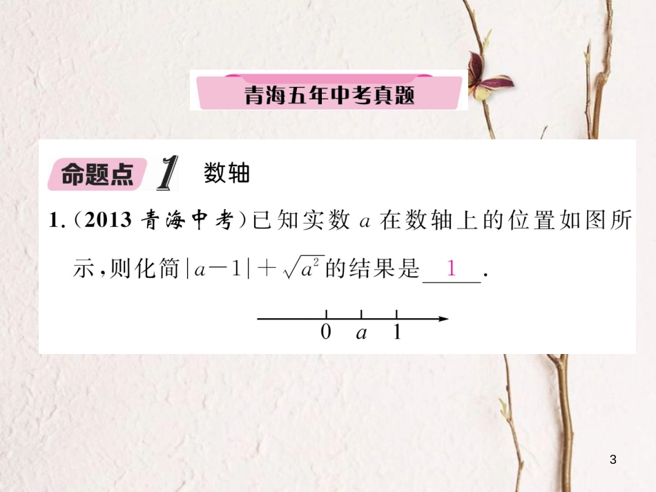 （青海专版）中考数学复习 第1编 教材知识梳理篇 第1章 数与式 第1节 实数的有关概念（精讲）课件_第3页