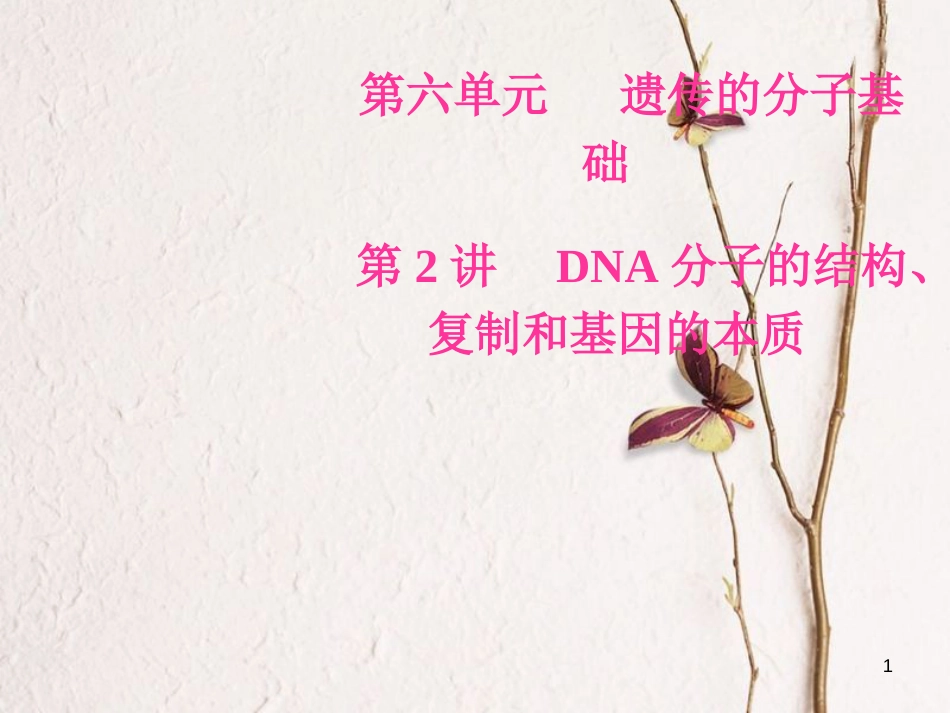 2019版高考生物总复习 第六单元 遗传的分子基础 第2讲 DNA分子的结构、复制和基因的本质课件_第1页