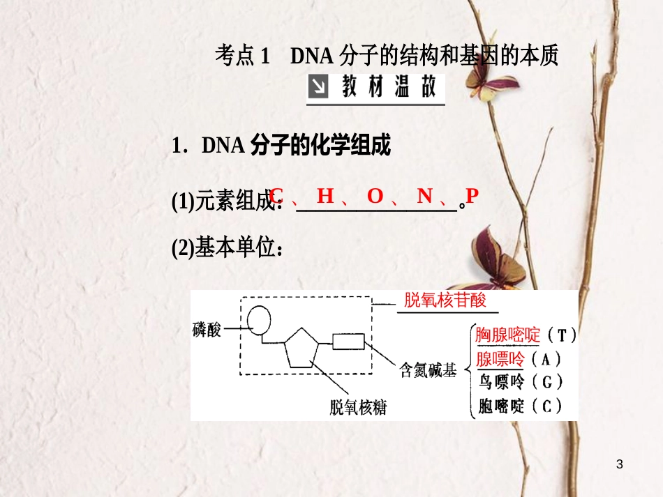 2019版高考生物总复习 第六单元 遗传的分子基础 第2讲 DNA分子的结构、复制和基因的本质课件_第3页