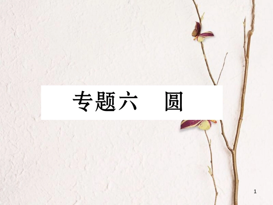 九年级数学下册 专题6 圆作业课件 (新版)湘教版_第1页