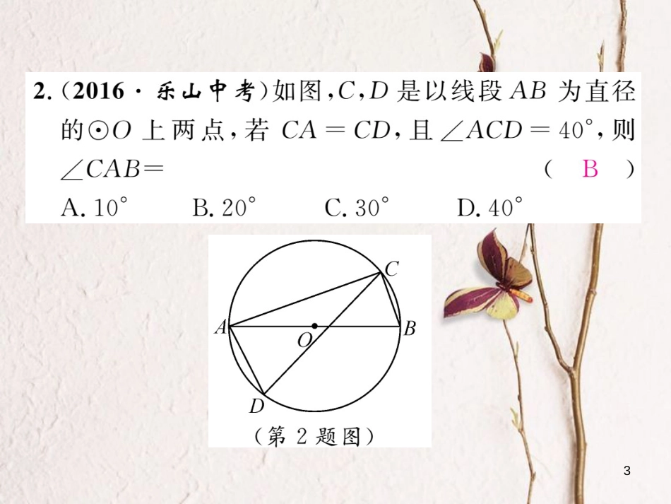 九年级数学下册 专题6 圆作业课件 (新版)湘教版_第3页