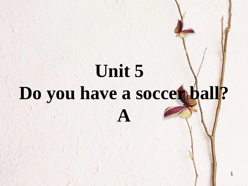 七年级英语上册 口头表达专练 Unit 5 Do you have a soccer ball Section A课件 （新版）人教新目标版_第1页