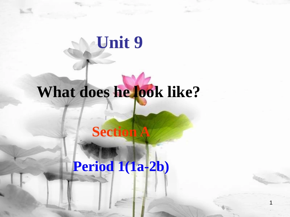 七年级英语下册 Unit 9 What does he look like Section A Period 1（1a-2b）课件 （新版）人教新目标版_第1页