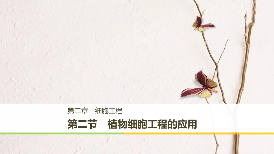 高中生物 第二章 细胞工程 2.2 植物细胞工程的应用课件 苏教版选修3_第1页