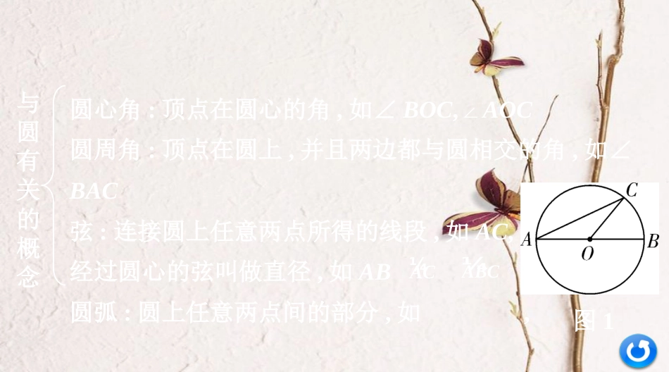 浙江省中考数学复习第一部分考点研究第六单元圆第25课时圆的基本性质课件_第3页
