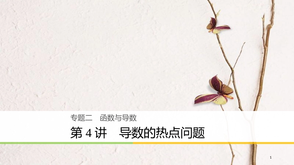 年高考数学二轮复习 专题二 函数与导数 第4讲 导数的热点问题课件 理_第1页