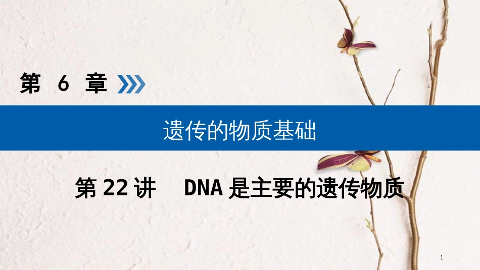 2019版高考生物大一轮复习 第22讲 DNA是主要的遗传物质优选课件_第1页