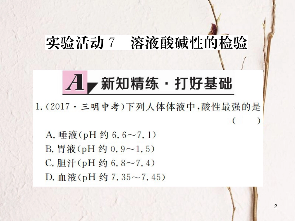 （江西专版）九年级化学下册 第10单元 酸和碱 实验活动7 溶液酸碱性的检验课件 （新版）新人教版_第2页